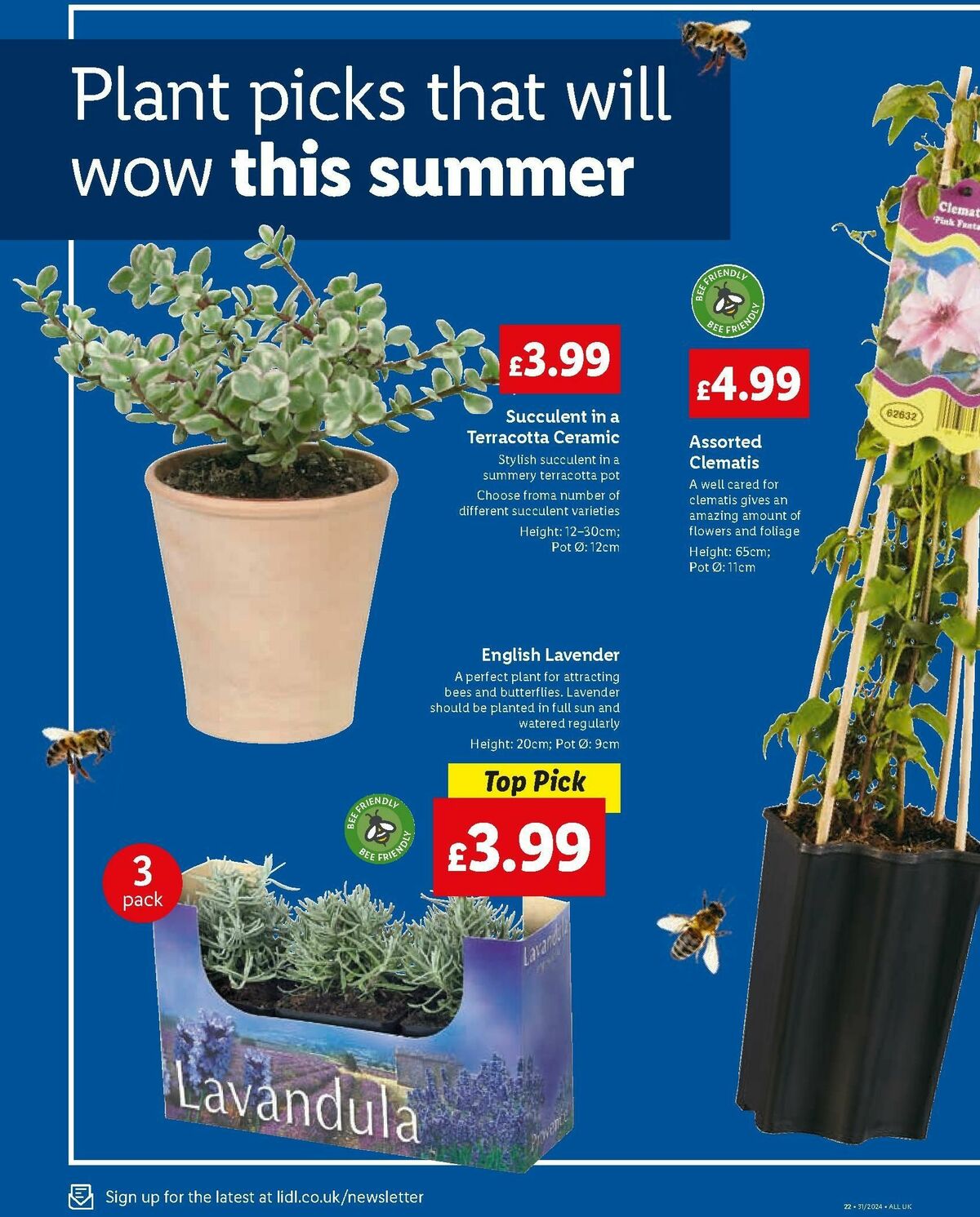 Lidl Specials this week 1 August (24)