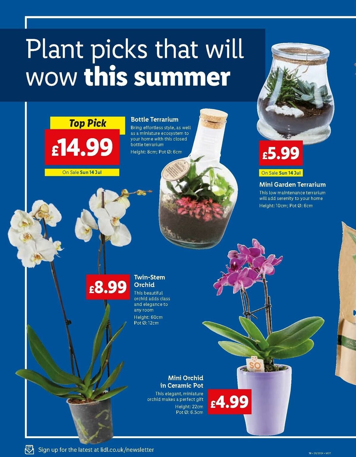 Lidl Specials this week 11 July – lidl weekly offers (20)