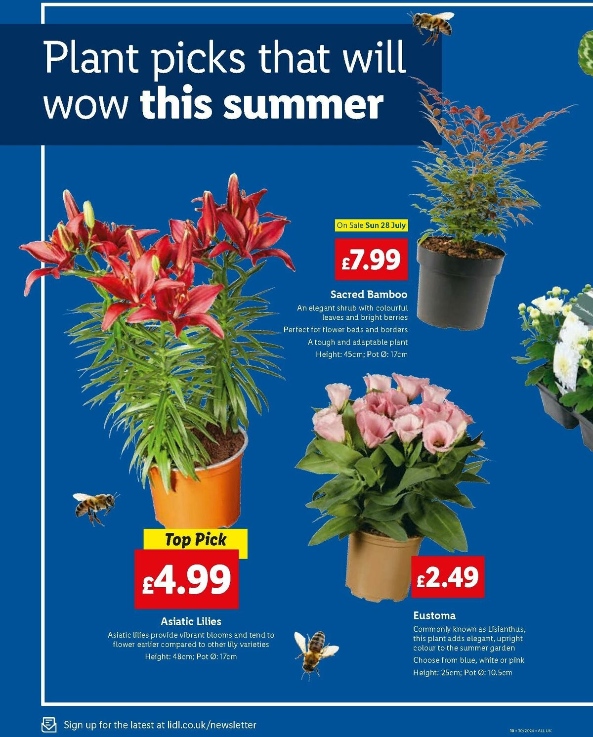 Lidl Specials this week 25 July (16)