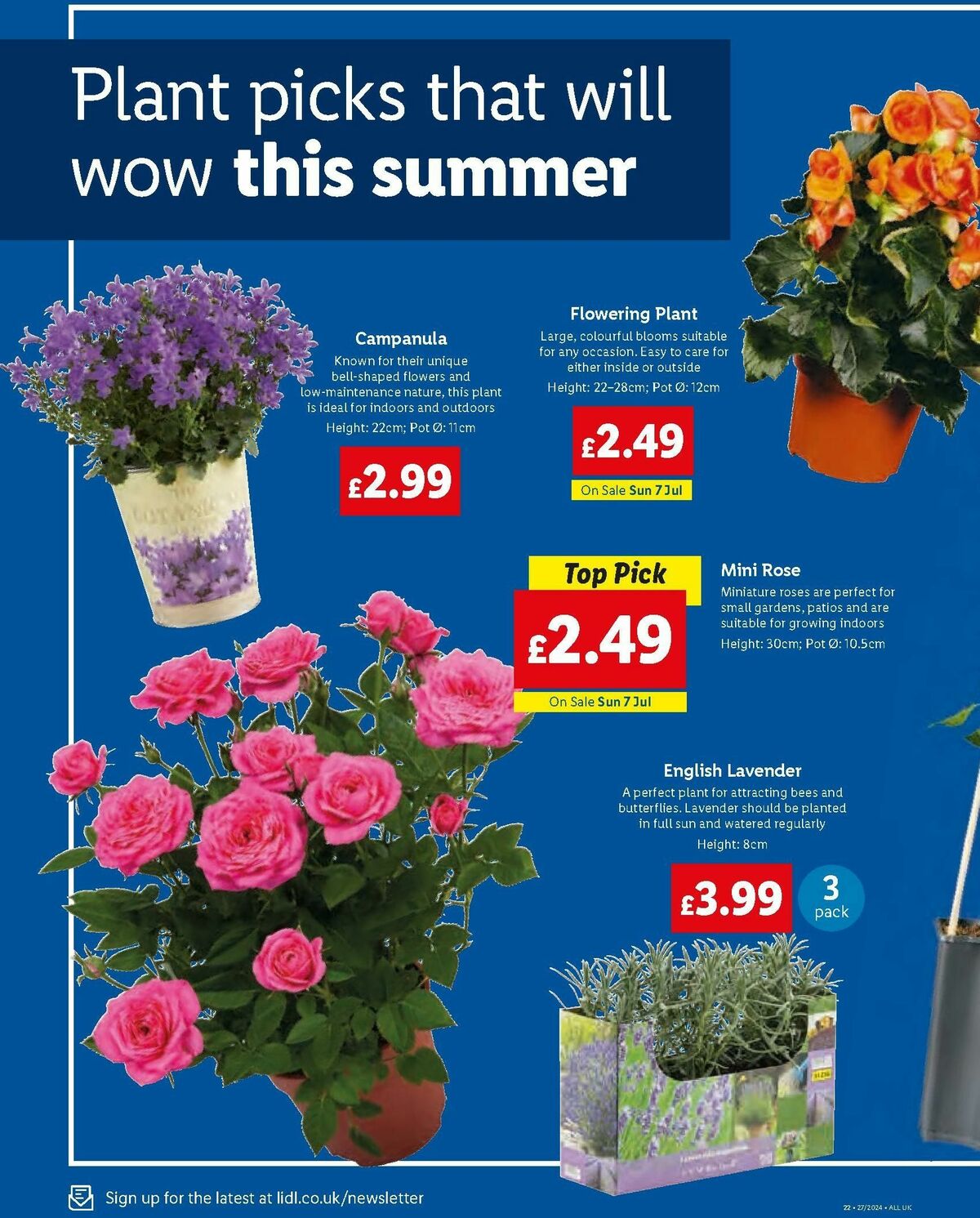 Lidl Specials this week 4 July – lidl weekly offers (28)