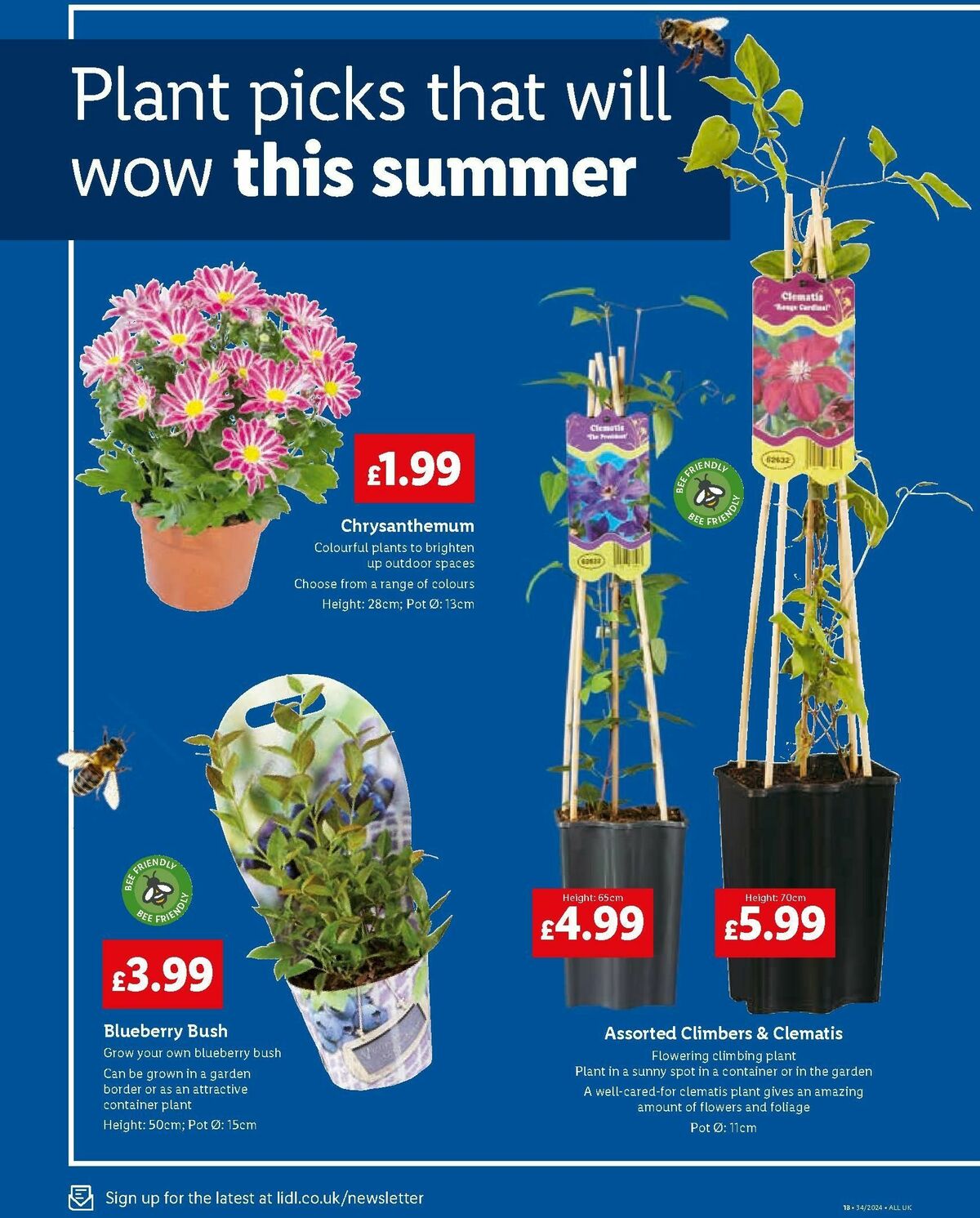 LIDL SPECIALS WEEK 22 August (22)