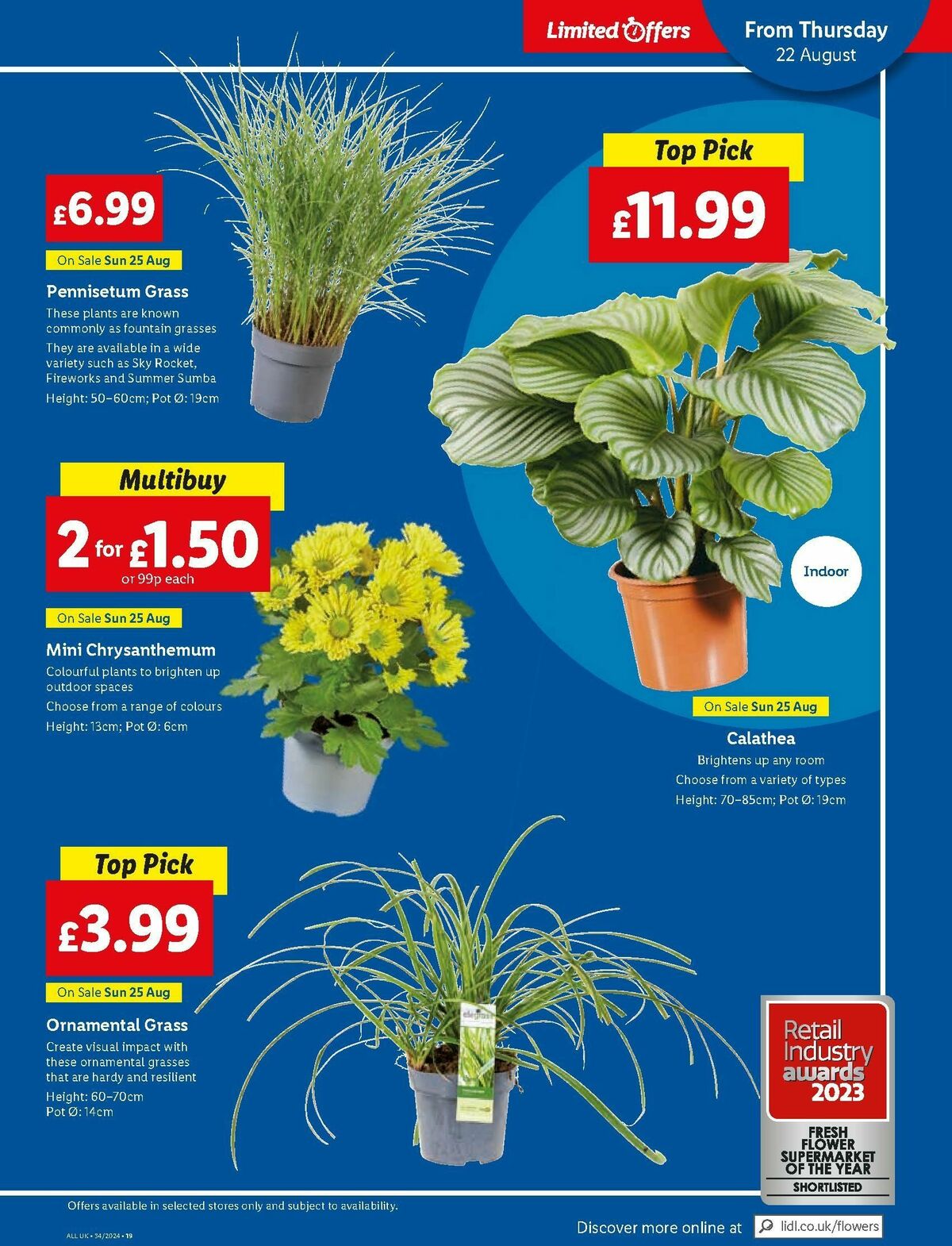 LIDL SPECIALS WEEK 22 August (23)