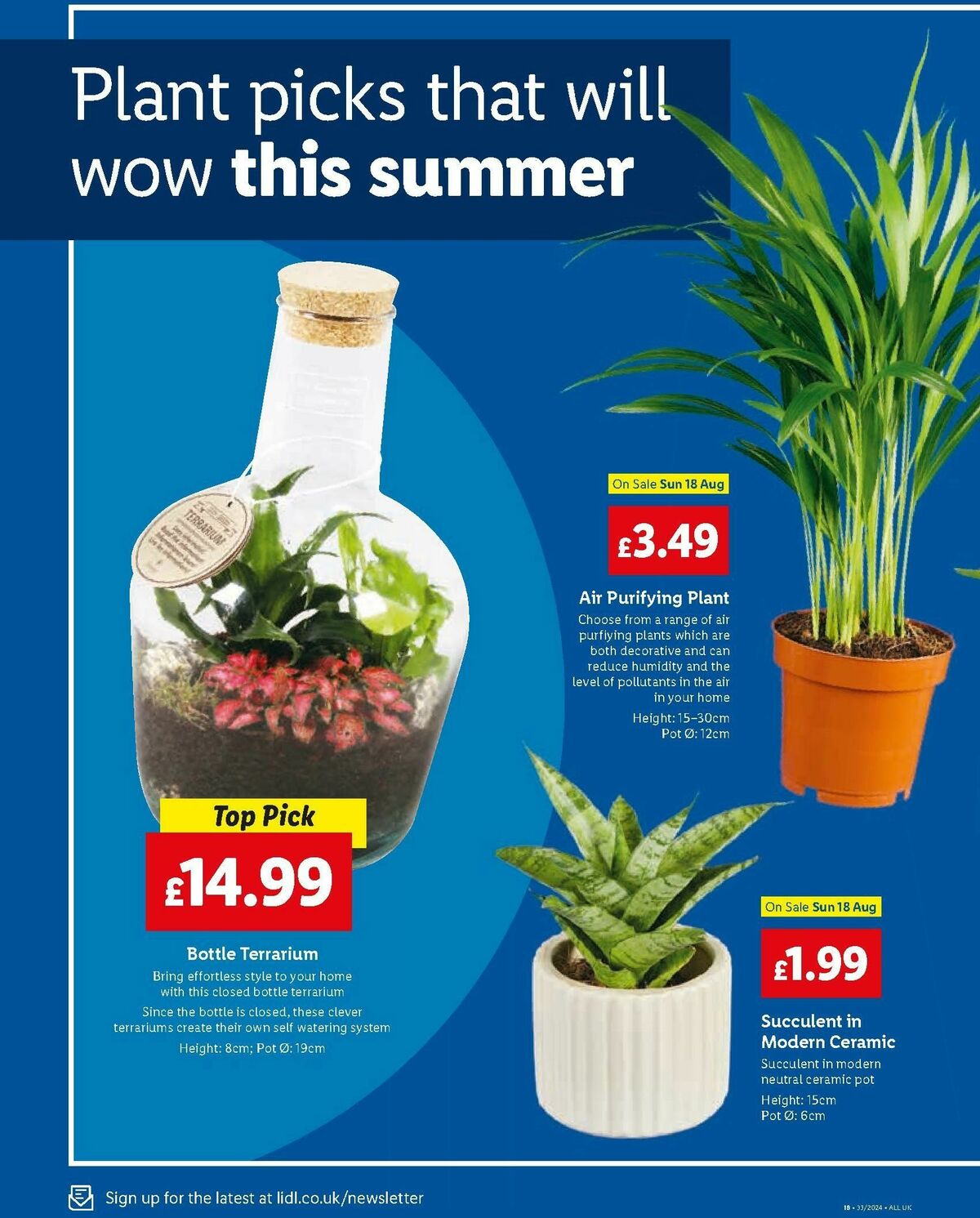 LIDL SPECIALS WEEK August (22)