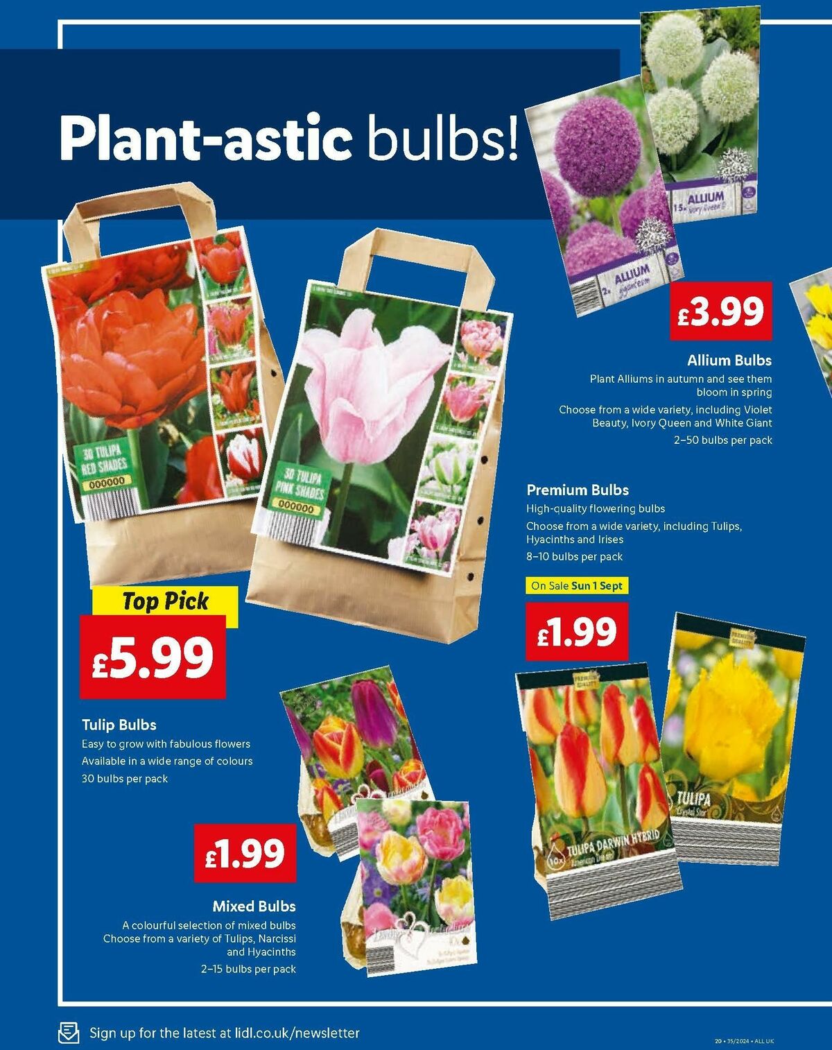 Lidl Specials this week 29 August (22)