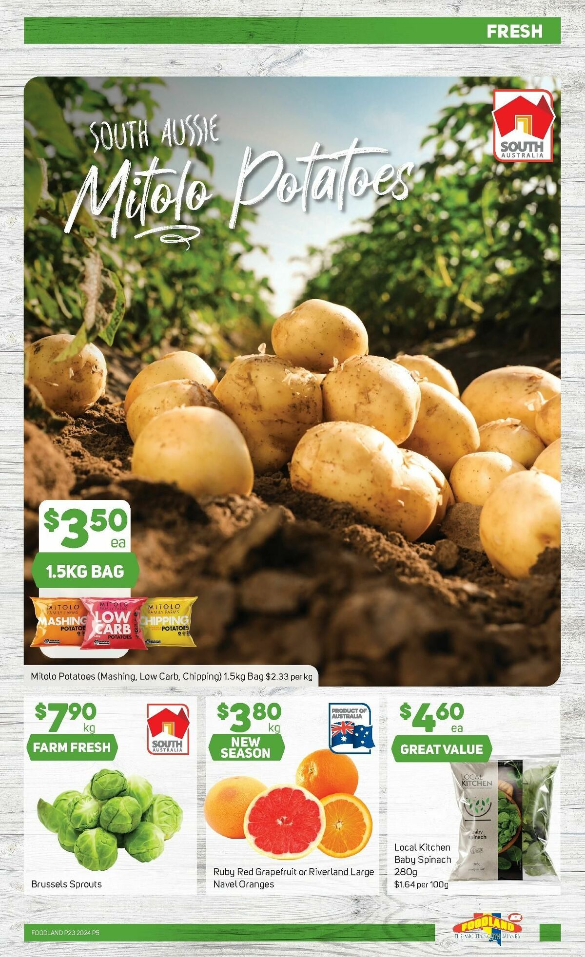 Foodland Catalogue Next Week 13 September – Foodland specials (5)