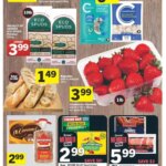 Foodland flyer - NL from Jan 16, 2025 > weekly specials & deals