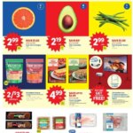 Lidl Weekly Ad (01/22 - 01/28 2025) - Flyer