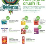 Publix 2025 Publix Gasparilla Distance Classic (01/16 - 02/05 2025) - Flyer