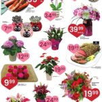 Albertsons Specialty Publication (02/12 - 02/18 2025) - Flyer