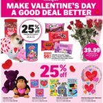 Meijer Valentine's Day (02/10 - 02/15 2025) - Flyer