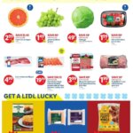 LIDL Weekly Ad (03/12/2025) ☄️ >> Circular, Flyer