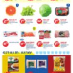 LIDL Weekly Ad - GA (03/12/2025) ☄️ >> Circular, Flyer